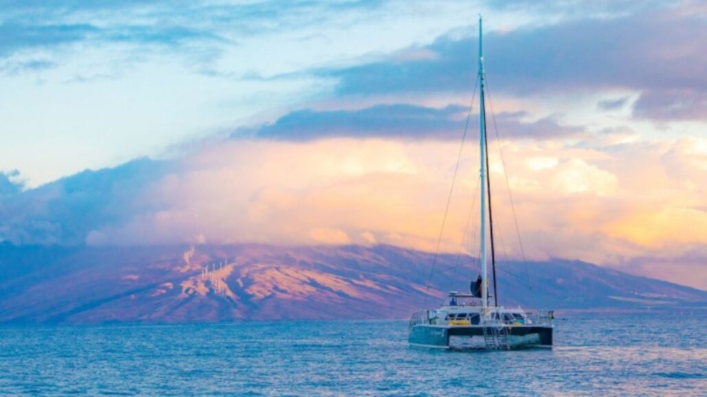 Discover the Most Unique Things to Do in Maui