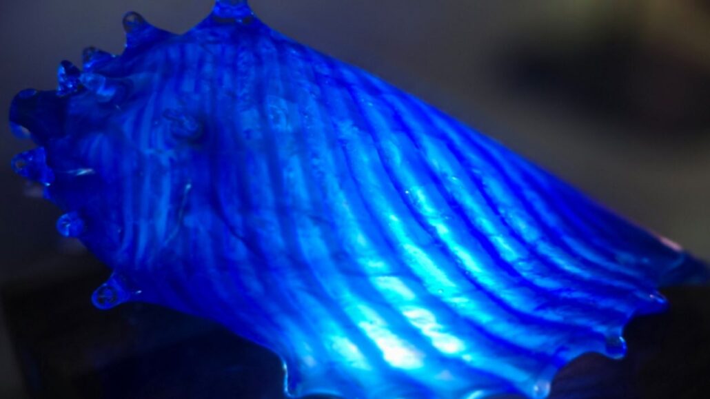 Glass Sea Shells Make Stunning